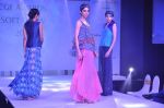 at Green Fashion Awards in Lalit Hotel, Mumbai on 6th April 2013 (76).JPG